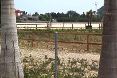Imagen realizada el 7 de junio de 2012 a las instalaciones de la Hpica Oliva Nova por el equipo del C.A.E.