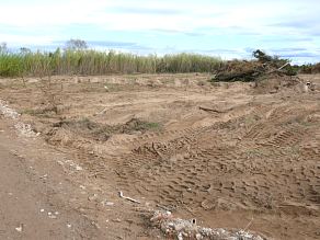 Transformacin del suelo en la Finca de la Plev (Oliva), en una imagen realizada el 5-11-2011. Foto C.A.E.