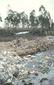 Vertidos contaminantes a escasos metros de la reserva el 4 de enero de 1994.