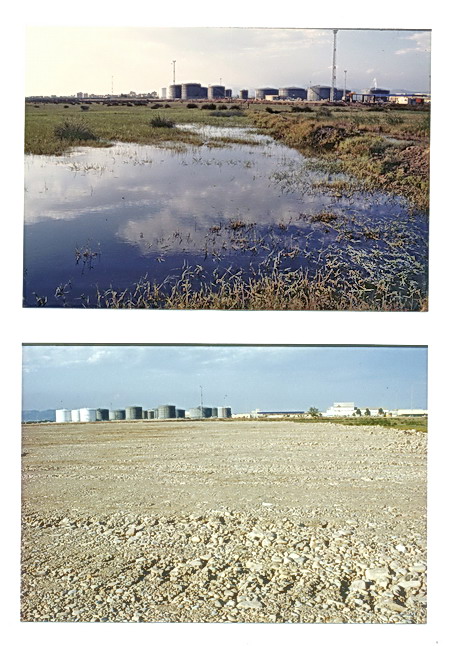 Las imgenes responden a la marjal o zona hmeda de Albuixech (Valencia) antes y despus del aterramiento. Ambas fueron tomadas en el ao 1991