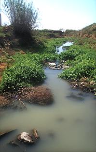 Vertidos de aguas residuales e industriales en el Barranco del Poyo en el trmino de Quart de Poblet el 5-4-03
