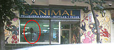 Tienda L'ANIMAL en la Calle Islas Canarias de Valencia 