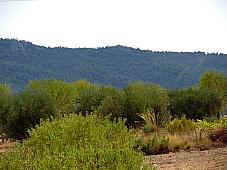Sierra de Mira. Parte central vista desde la muela de Mira.La vegetacin son carrascas y pino. (9549 bytes)
