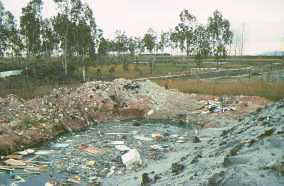 La "Reserva del Samaruc" en Xeresa en 1993. 