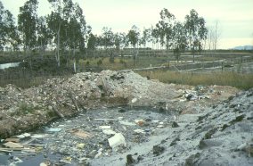 Vertidos contaminantes a escasos metros de la reserva el 4 de enero de 1994.